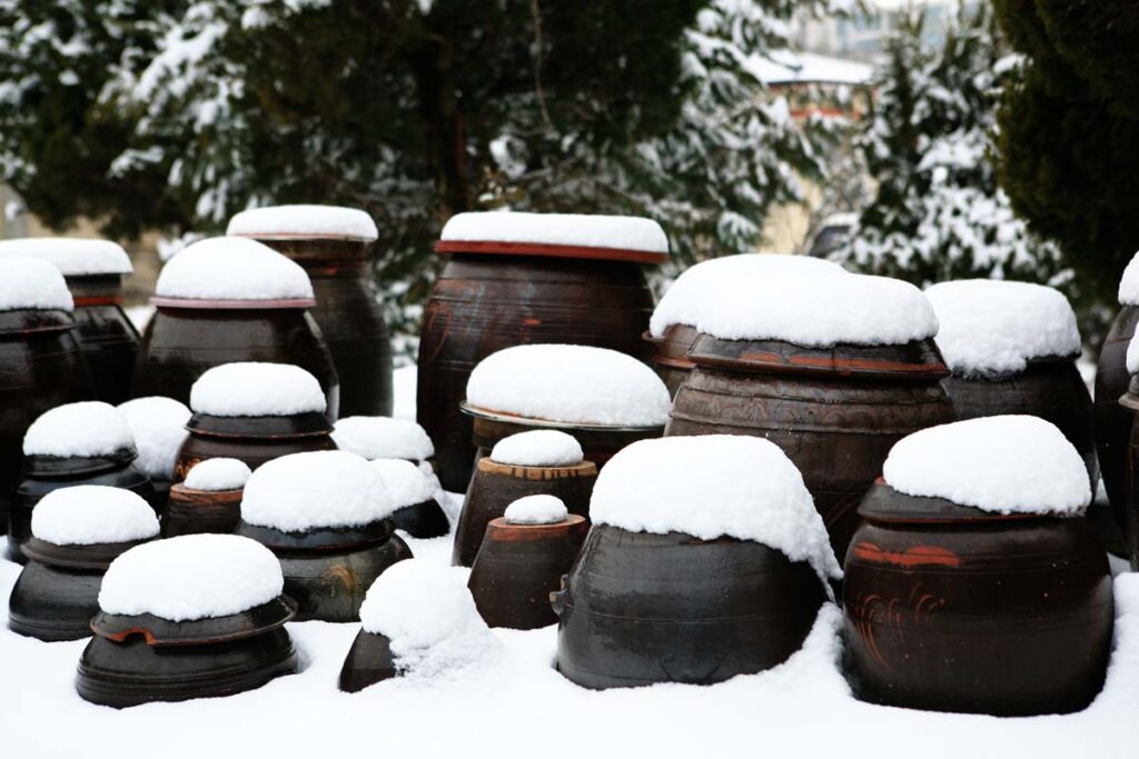 We store kimchi in clay jars during winter